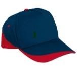 Gorra Fort