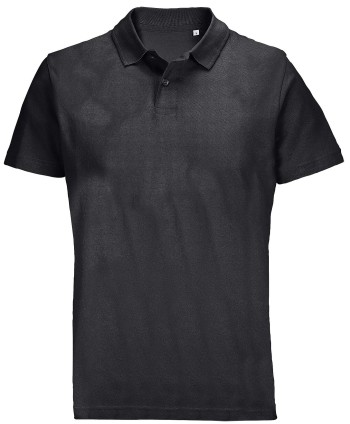 Polo Pulse