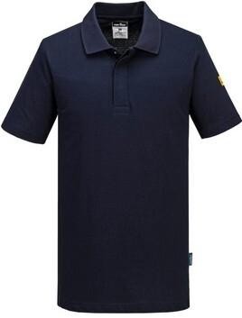 Polo AS21