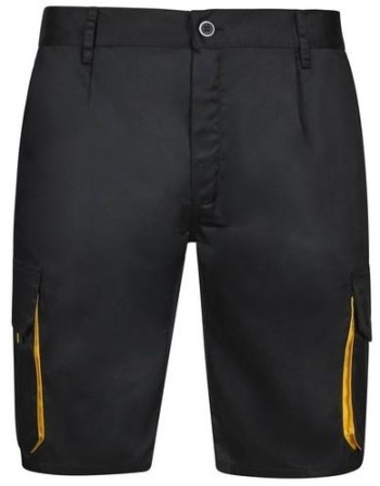 Bermuda 103007