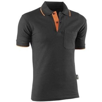 Polos 