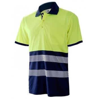 Polos AV 